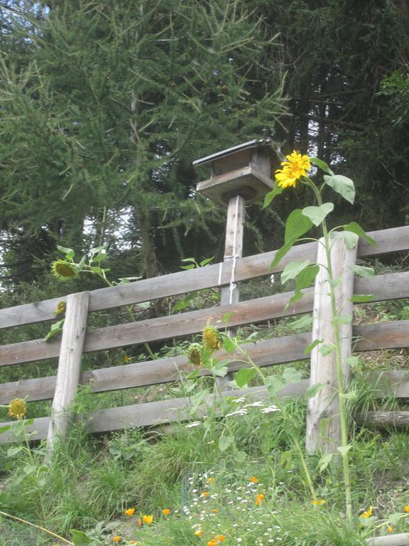 Ferienhaus Fichtenheim Prägraten Eksteriør bilde